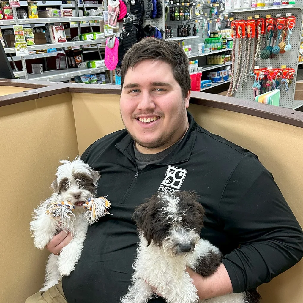 Petland team member holding two puppies