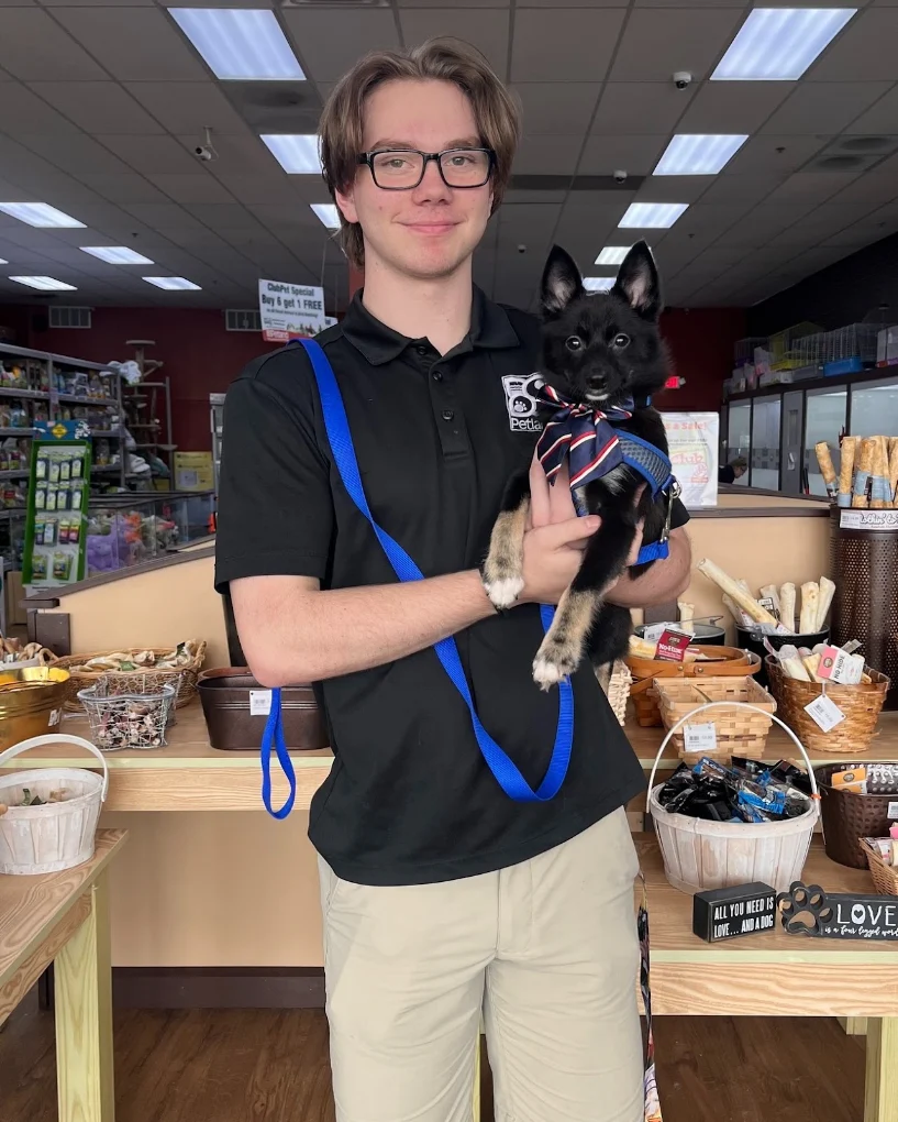 Petland team member holding a black-and-tan puppy